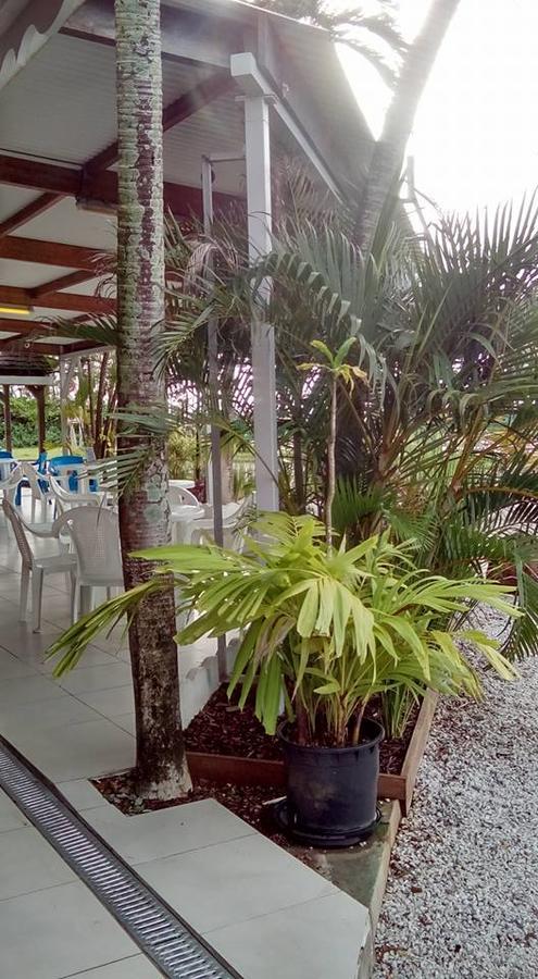 Hotel Des Amandiers Καγιέν Εξωτερικό φωτογραφία