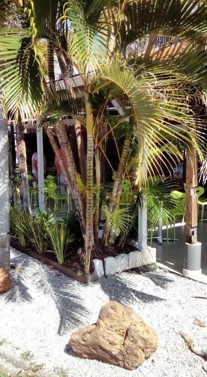 Hotel Des Amandiers Καγιέν Εξωτερικό φωτογραφία